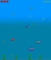 http://nokia-s40.com/Alex/fish.jpg